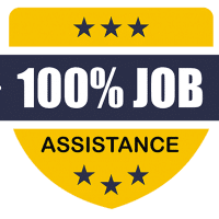 100% Job Assistance